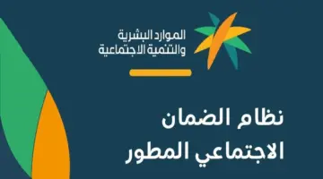 ما هي حالات إيقاف دعم الضمان المطور؟ وزارة الموارد البشرية تحسم الأمر