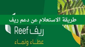 بالرابط والخطوات الاستعلام عن دعم ريف reef.gov.sa وموعد صدور الأهلية