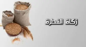 موعد بدء إخراج زكاة الفطر في المملكة بطريقة إلكترونية للجهات الشرعية