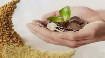 عاجل بدء وقت جواز إخراج زكاة الفطر بعد مغرب اليوم 28 رمضان 1445