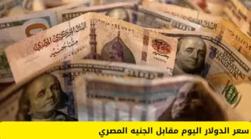 كم سجل سعر الدولار اليوم مقابل الجنيه المصري في البنوك المصرية