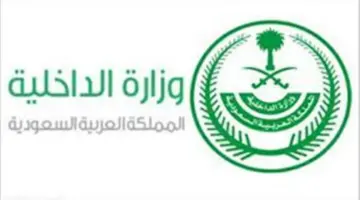 هل يجب سداد جميع المخالفات المرورية دفعة واحدة للاستفادة من التخفيض؟.. وزارة الداخلية توضح