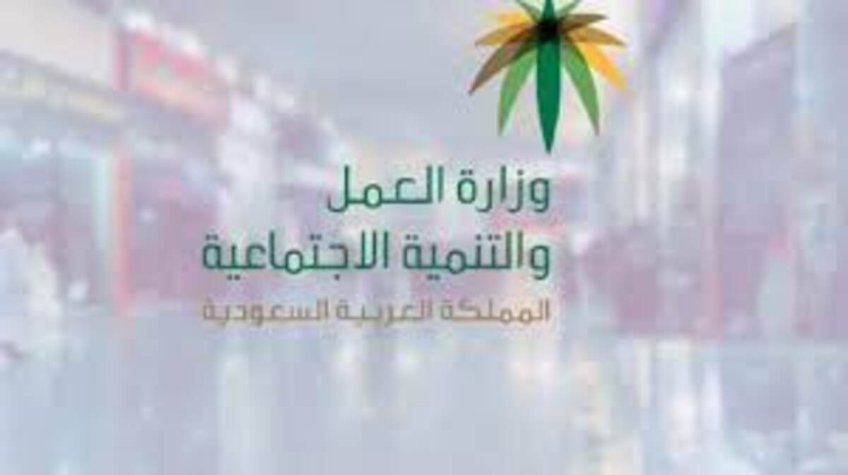 وزارة العمل توضح  نظام الترقيات الجديد فى الخدمة المدنية