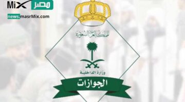 ما هي صلاحية جواز السفر للمواطنين المسافرين؟ المديرية العامة للجوازات توضح