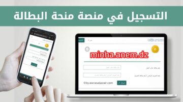 ما هي شروط تجديد منحة البطالة في الجزائر؟ الوكالة الوطنية للتشغيل ترد