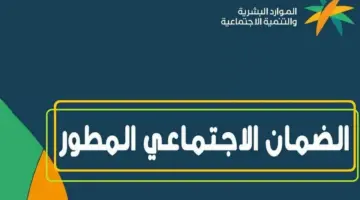 “الموارد البشرية” تذكر المستفيدين برابط الضمان الاجتماعي المطور استعلام برقم الهوية 1445