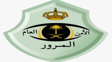متي يبدأ المزاد الإلكتروني للوحات عبر أبشر؟ الإدارة العامة للمرور تبين