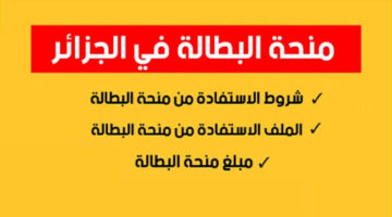 وكالة التشغيل توضح شروط منحة البطالة 2024 في الجزائر ورابط التقديم