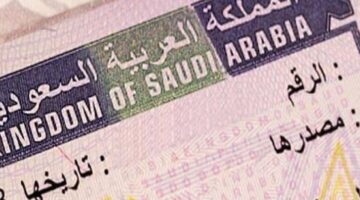 كيف يمكنني الاستعلام عن تأشيرة السعودية برقم الجواز عبر إنجاز ؟