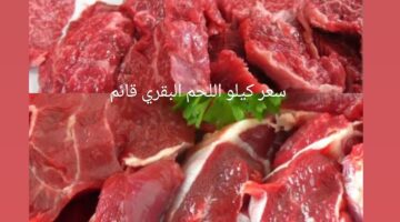 قبل عيد الأضحى 2024 .. استقرار أسعار كيلو اللحم البقري القائم اليوم في مصر 