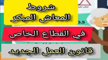 التأمينات الاجتماعية تعلن عن شروط المعاش المبكر للقطاع العام والخاص طبقًا لقانون المعاشات