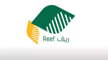 متى موعد إيداع دعم ريف للأسر المنتجة لشهر مايو؟ وزارة البيئة توضح
