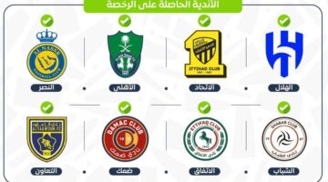 عاجل .. لجنة تراخيص الأندية تعلن حصول 8 أندية على الرخصة المحلية والآسيوية 2024