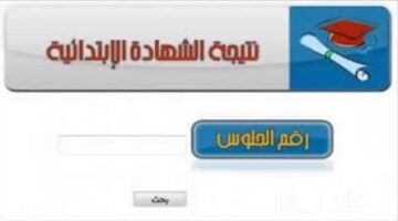 ” وزارة التربية والتعليم” توضح بالاسم ورقم الجلوس نتيجة السادس الابتدائي 2024 للترم الثاني محافظة القاهرة