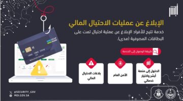 ما هي تفاصيل استخدام خدمة الإبلاغ عن عمليات الاحتيال المالي؟ الأمن العام يوضح