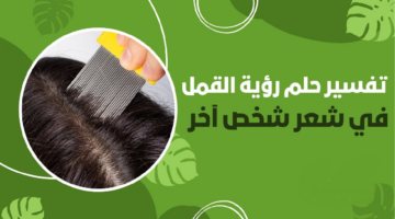 تفسير حلم رؤية القمل في شعر شخص آخر وللمتزوجة ودلالته للعزباء والطفلة