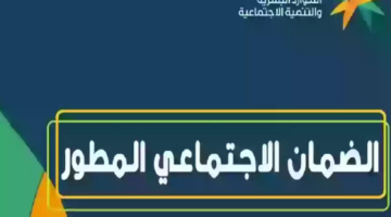 ما هو رقم الضمان الاجتماعي المطور والشروط المطلوبة للتسجيل؟ الموارد البشرية تجيب