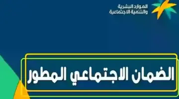 ما هو رقم الضمان المطور وآلية تقديم الشكاوى إلكترونيًا؟ وزارة الموارد البشرية توضح