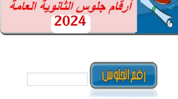 كيف يتم الحصول عى رقم جلوس الثانوية العامة؟ وزارة التربية والتعليم تجيب