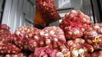 ما هو سعر البصل اليوم الأحد 19 مايو 2024 في سوق العبور بمصر؟