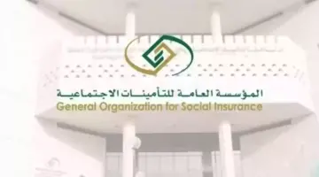 ” المؤسسة العامة للتأمينات الاجتماعية” توضح شروط الغاء الاشتراك في التأمينات وخطوات الاستعلام إلكترونيًا