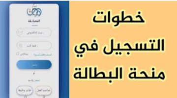الوكالة الوطنية للتشغيل تكشف طريقة تجديد منحة البطالة 2024 في الجزائر