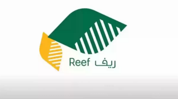 متى موعد اعلان اهلية ريف وطريقة الاستعلام؟ وزارة البيئة والمياه والزراعة تجيب