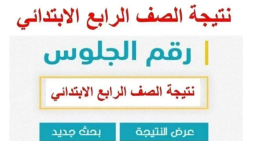 التربية والتعليم توضح خطوات الاستعلام عن نتيجة الصف الرابع الابتدائي برقم الجلوس