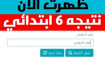 التربية والتعليم توضح آلية معرفة نتيجة الصف السادس الابتدائي محافظة الجيزة 2024