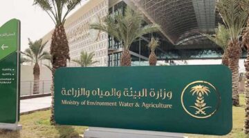 عاجل .. وزارة البيئة منع تداول بيع أو شراء الإبل غير المرقمة بعد هذا التاريخ