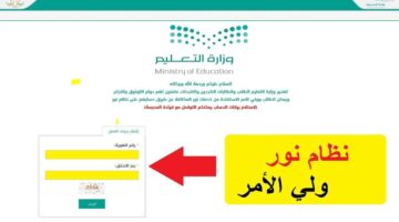 عاجل .. وزارة التعليم توضح خطوات معرفة درجات الطالب في الاختبارات يوميًا عبر نور 1445