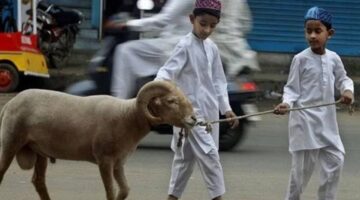 هل يجوز ذبح الأضحية رابع يوم العيد؟ حلال أم حرام؟