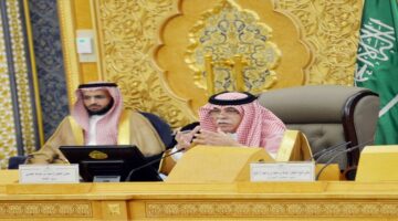 لمواجهة الاستغلال .. وزارة التجارة تعلن العام القادم 2025 سيتم رسميًا إطلاق مؤشرات تمنع وكالات السيارات من الاحتكار