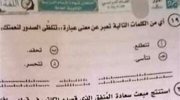معنى تتلظى الصدور .. سؤال حير طلاب الثانوية 2024 بامتحان اللغة العربية اليوم