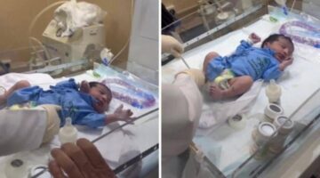 اول حالة ولادة على جبل عرفات 2024.. وما اسمه وجنسيته وتفاصيل حالة الأم؟