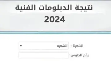 استعلم عن النتيجة من هنا.. بوابة التعليم الفني نتيجة الدبلومات 2024 برقم  الجلوس والاسم عبر رابط 2024 fany.emis.gov.eg