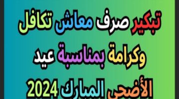 وزارة التضامن الاجتماعي توضح حقيقة تبكير صرف معاش تكافل وكرامة شهر يونيو 2024