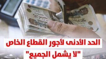ما حقيقة زيادة الحد الأدني للأجور للقطاع الخاص بداية من يوليو؟ المجلس القومي للأجور في مصر يوضح