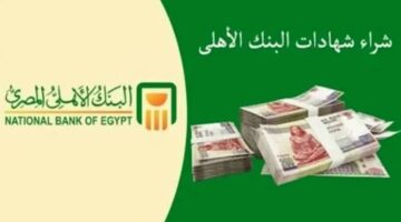 ما هي كيفية شراء شهادات البنك الأهلي المصري 2024 للحصول علي أعلى عائد استثماري؟