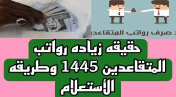 ما هي حقيقة زيادة رواتب التقاعد لشهر يوليو 2024؟ مؤسسة التأمينات تجيب
