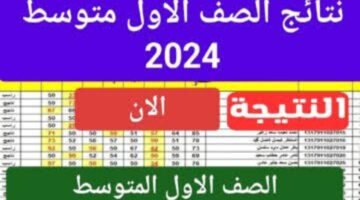 وزارة التربية تتيح رابط استخراج نتائج الصف الأول متوسط في العراق 2024 عبر موقع نتائجنا