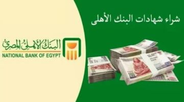 شهادات البنك الأهلي المصري الجديدة 2024 أعلى عائد ثابت ومتغير يصل الى 30%
