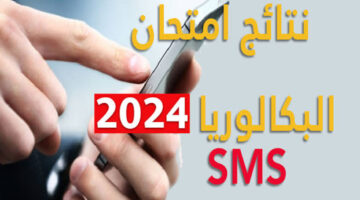 رسميًا..  وزارة التربية توضح موعد ظهور نتيجة البكالوريا تونس 2024 ورابط الاستعلام