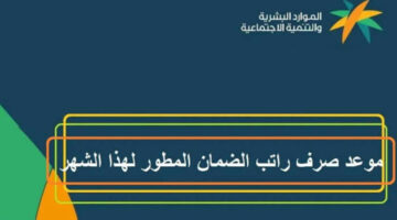 وزارة الموارد البشرية تعلن عن موعد إيداع الضمان الاجتماعي المطور الدفعة 31 لشهر يوليو 2024