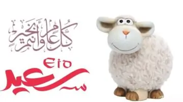 كيفية تقسيم الاضحية في عيد الأضحى المبارك 2024 وشروط اختيارها