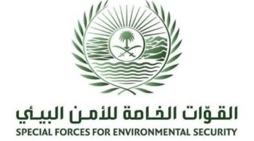 بعد ضبط مخالف في عسير.. كم غرامة مخالفة إشعال النار في أراضي الغطاء النباتي؟ الأمن البيئي يوضح
