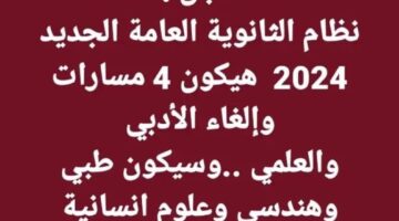 متى يطبق نظام الثانوية العامة الجديد؟ وزير التربية والتعليم والتعليم الفني يوضح