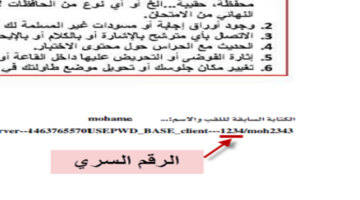وزارة التربية الوطنية بالجزائر تعلن عن طرق استخراج الرقم السري bem لعام 2024