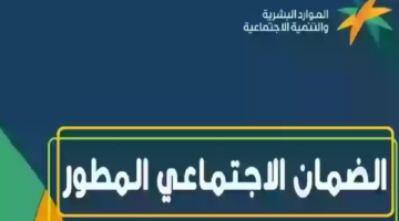 وزارة الموارد البشرية توضح تفاصيل خدمة الضمان الاجتماعي المطور استعلام برقم الهوية