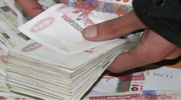 عاجل رابط تجديد منحة البطالة 2024 في الجزائر عبر الوكالة الوطنية للتشغيل